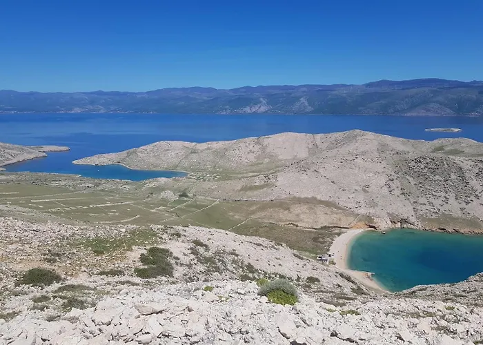 Mrkus 게스트하우스